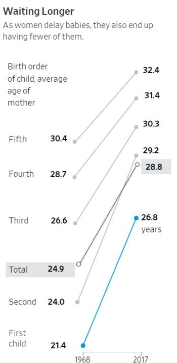 birth rates by child